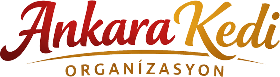 Ankara Kedi Organizasyon